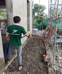 Phòng chống mối công trình xây dựng